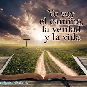 Meet your Posher, Jinette